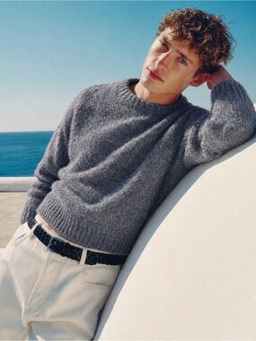 Everlane Charcoal Cozy Cropped Knit Crewneck Alpaca Sweater